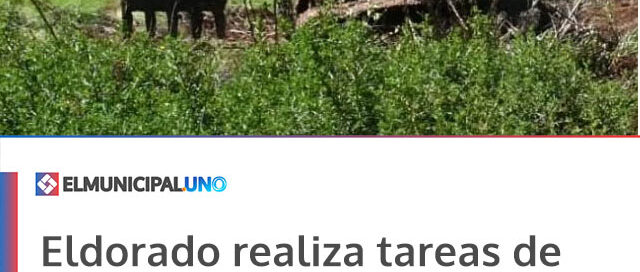 Eldorado realiza tareas de limpieza y mantenimiento de desagües en el barrio Itatí