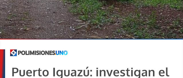 Puerto Iguazú: investigan el homicidio de un hombre en el barrio Santa Rosa