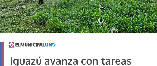 Iguazú avanza con tareas de parquización y puesta en valor en espacios públicos e instituciones