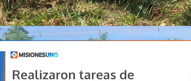 Realizaron tareas de limpieza y mantenimiento en el barrio Bicentenario tras reuniones con vecinos