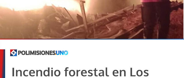 Incendio forestal en Los Helechos: bomberos controlaron un foco ígneo en Paraje La Línea Incendio forestal en Los Helechos: bomberos controlaron un foco ígneo en Paraje La Línea