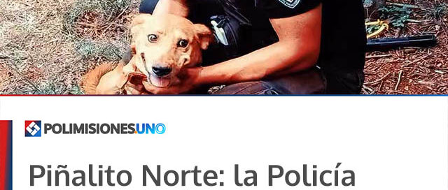 Piñalito Norte: la Policía rescató a un perro que había caído en un pozo de nueve metros