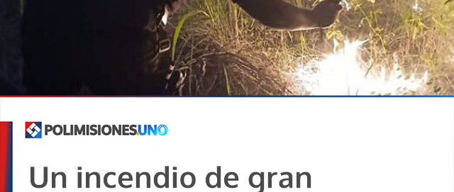 Un incendio de gran magnitud afectó 15 hectáreas en Santo Pipó y zonas aledañas Un incendio de gran magnitud afectó 15 hectáreas en Santo Pipó y zonas aledañas