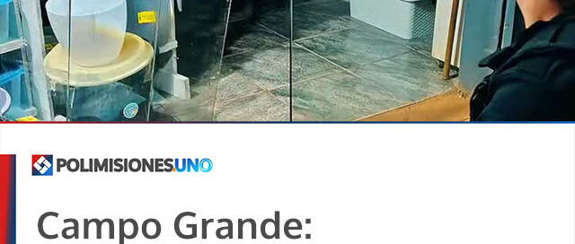 Campo Grande: esclarecieron robo en un bazar y recuperaron los elementos sustraídos