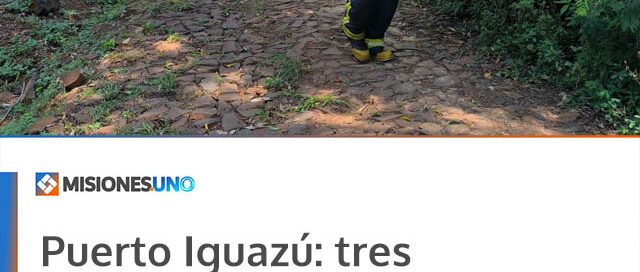 Puerto Iguazú: tres dotaciones de Bomberos trabajan en un incendio forestal con riesgo para viviendas