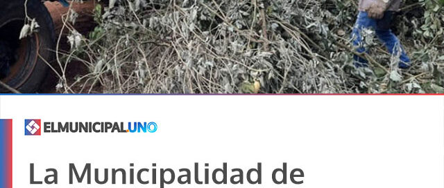 La Municipalidad de Andresito realiza trabajos de poda y recolección de residuos en el barrio Quintas Bajas La Municipalidad de Andresito realiza trabajos de poda y recolección de residuos en el barrio Quintas Bajas