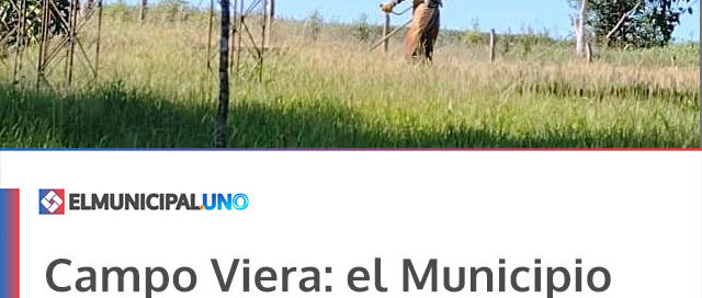 Campo Viera: el Municipio realizó tareas de limpieza y mantenimiento en escuelas rurales