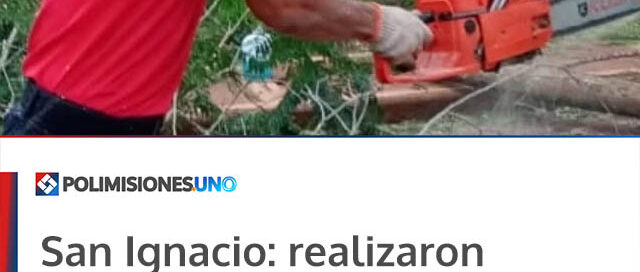 San Ignacio: realizaron tareas preventivas por caída de poste y árboles sobre tendido eléctrico