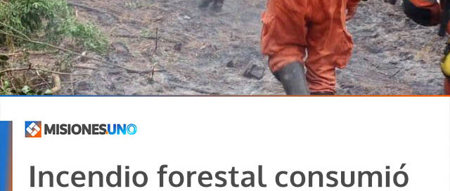 Incendio forestal consumió 60 hectáreas en Colonia Primavera y fue controlado por bomberos