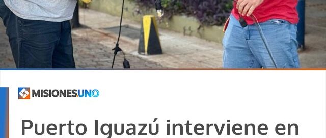 Puerto Iguazú interviene en avenida Brasil para reparar daños en la infraestructura urbana