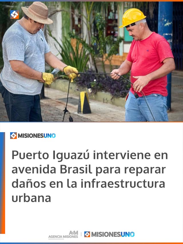 Puerto Iguazú interviene en avenida Brasil para reparar daños en la infraestructura urbana