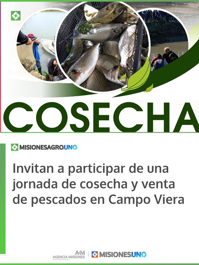 Invitan a participar de una jornada de cosecha y venta de pescados en Campo Viera