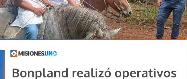 Bonpland realizó operativos de limpieza y mantenimiento en distintos sectores de la localidad