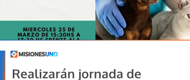 Realizarán jornada de vacunación antirrábica y atención gratuita para mascotas