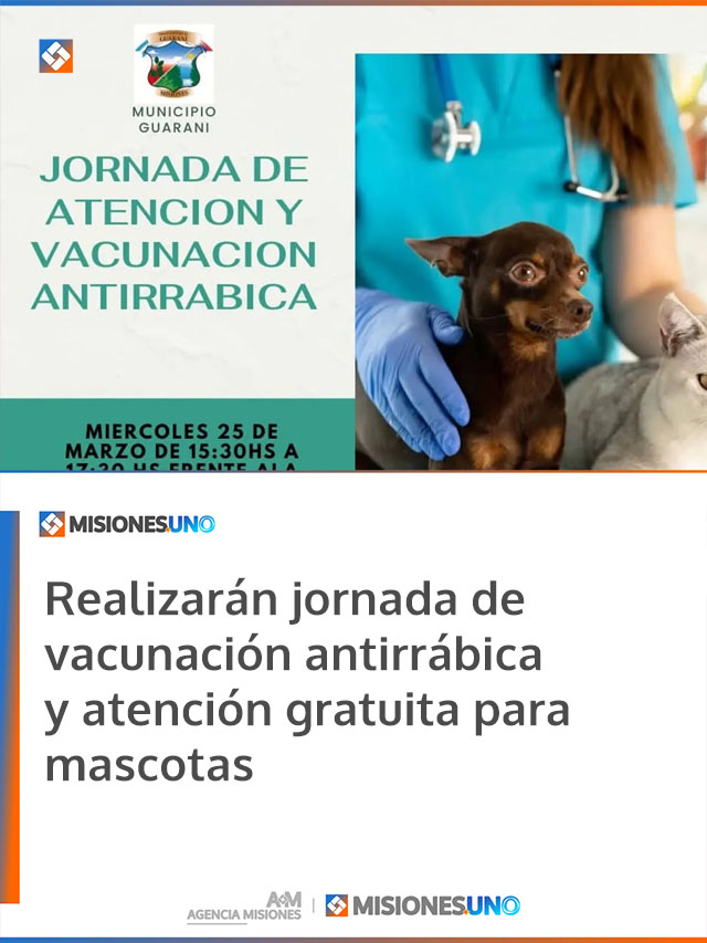 Realizarán jornada de vacunación antirrábica y atención gratuita para mascotas