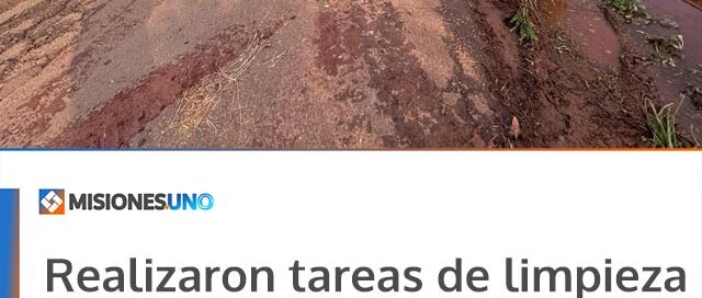 Realizaron tareas de limpieza de cordón cuneta en la calle Horacio Quiroga de Iguazú