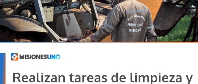 Realizan tareas de limpieza y mantenimiento en distintos sectores de Puerto Iguazú