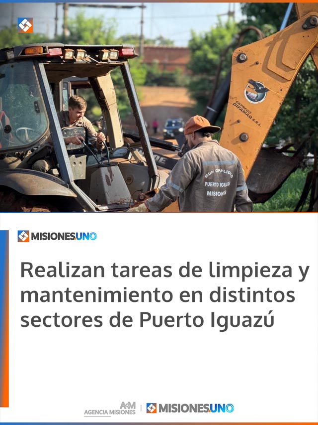 Realizan tareas de limpieza y mantenimiento en distintos sectores de Puerto Iguazú