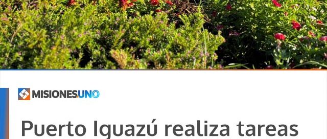 Puerto Iguazú realiza tareas de mantenimiento en la rotonda de las 7 Bocas para fortalecer los espacios verdes