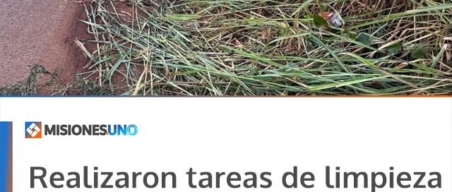 Realizaron tareas de limpieza y mantenimiento sobre la avenida Libertador en Iguazú
