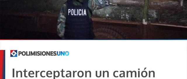 Interceptaron un camión con más de seis metros cúbicos de madera nativa extraída sin autorización en Andresito