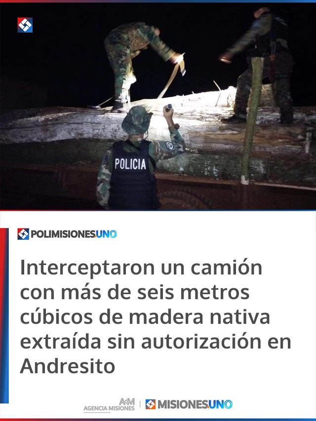 Interceptaron un camión con más de seis metros cúbicos de madera nativa extraída sin autorización en Andresito