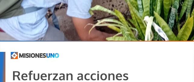 Refuerzan acciones preventivas contra el dengue en distintos barrios de Puerto Iguazú