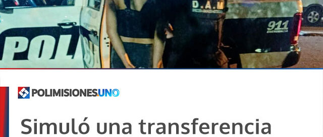 Simuló una transferencia para no pagar un delivery y fue demorada tras un operativo policial en Eldorado