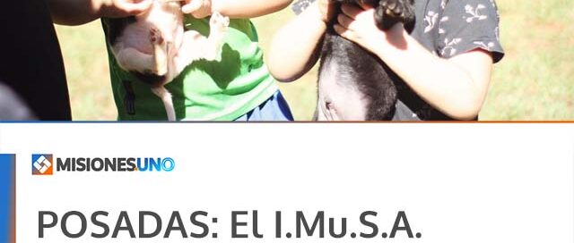 POSADAS: El I.Mu.S.A. presenta su cronograma semanal