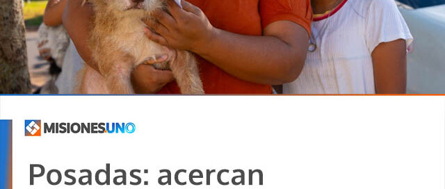 Posadas: acercan castraciones y atención veterinaria gratuita en distintos barrios