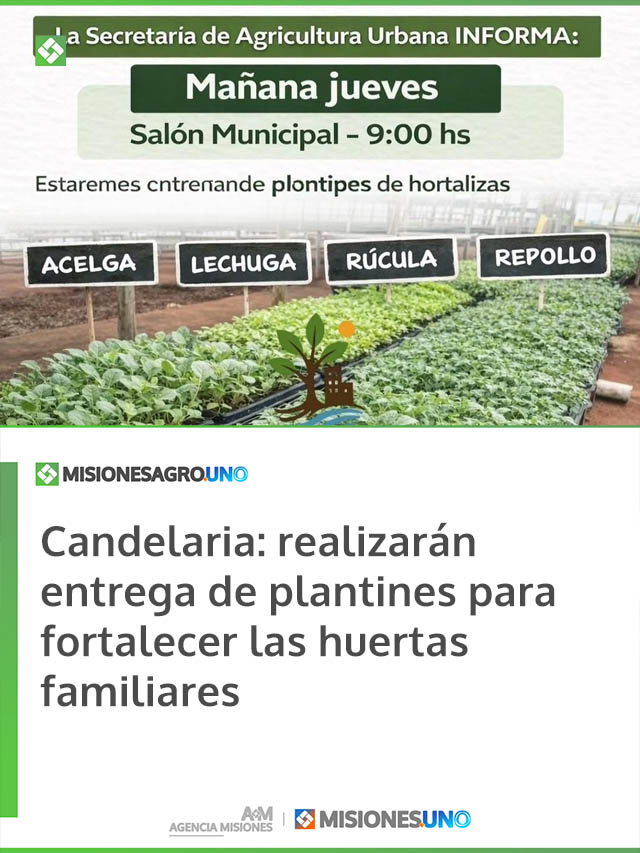 Candelaria: realizarán entrega de plantines para fortalecer las huertas familiares