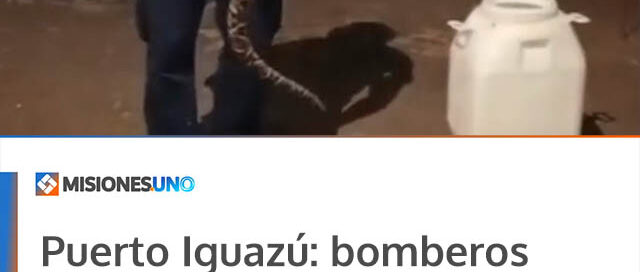 Puerto Iguazú: bomberos capturaron una yarará en un hotel de las 600 Hectáreas