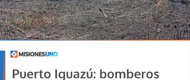 Puerto Iguazú: bomberos controlaron un incendio de pastizal en el barrio 2000 Hectáreas