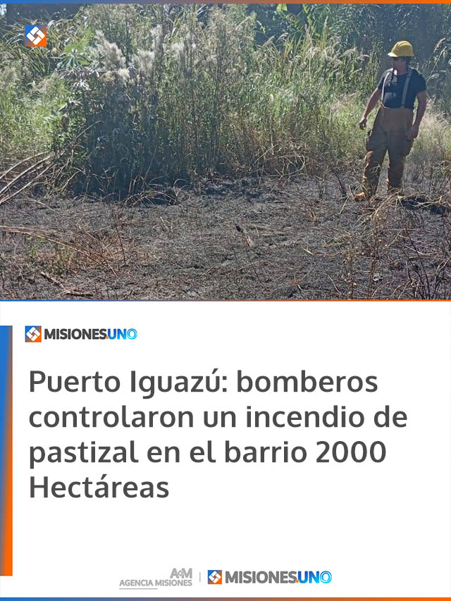 Puerto Iguazú: bomberos controlaron un incendio de pastizal en el barrio 2000 Hectáreas