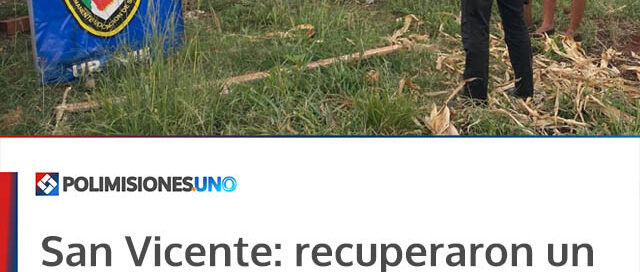 San Vicente: recuperaron un buey robado tras un rápido accionar policial