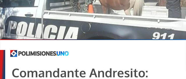 Comandante Andresito: policías rurales recuperaron un equino sustraído de una vivienda