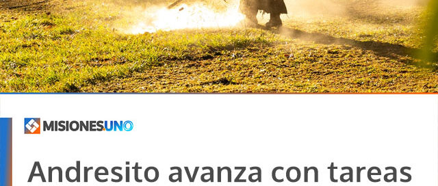 Andresito avanza con tareas de mantenimiento en espacios públicos de la zona urbana