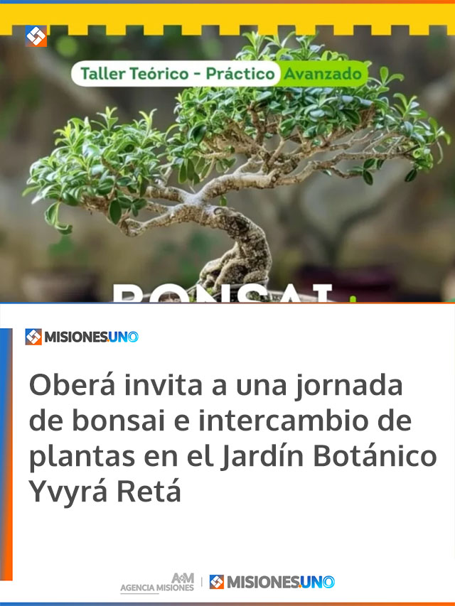 Oberá invita a una jornada de bonsai e intercambio de plantas en el Jardín Botánico Yvyrá Retá