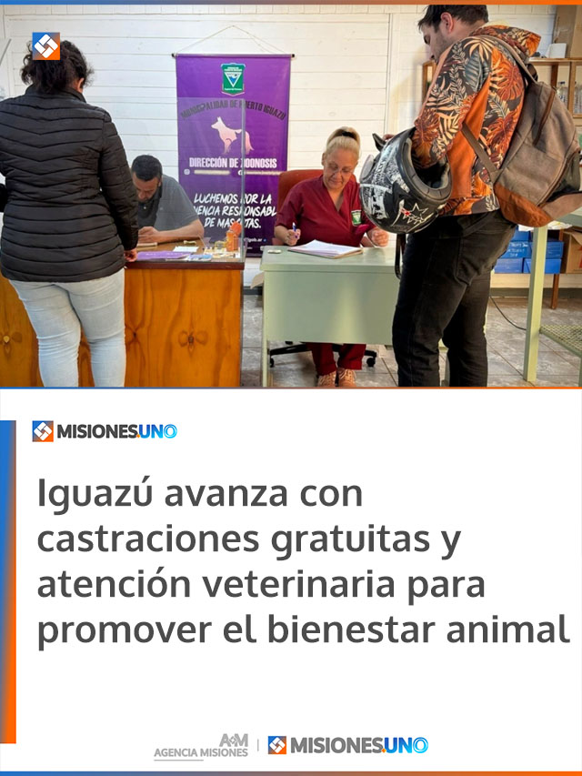 Iguazú avanza con castraciones gratuitas y atención veterinaria para promover el bienestar animal