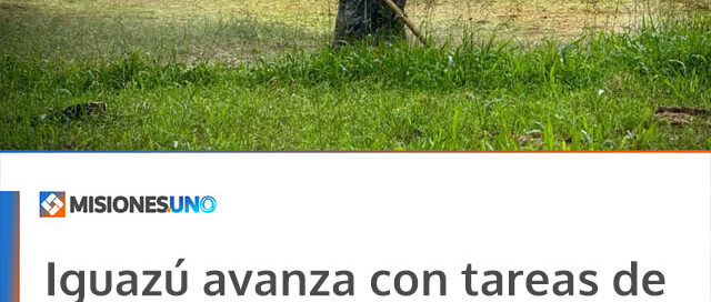 Iguazú avanza con tareas de parquización y limpieza en el barrio 300 Viviendas