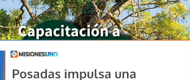 Posadas impulsa una capacitación para podadores urbanos artesanales