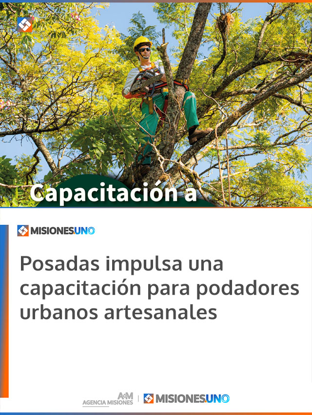 Posadas impulsa una capacitación para podadores urbanos artesanales