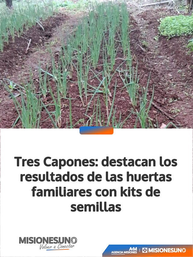 Tres Capones: destacan los resultados de las huertas familiares con kits de semillas