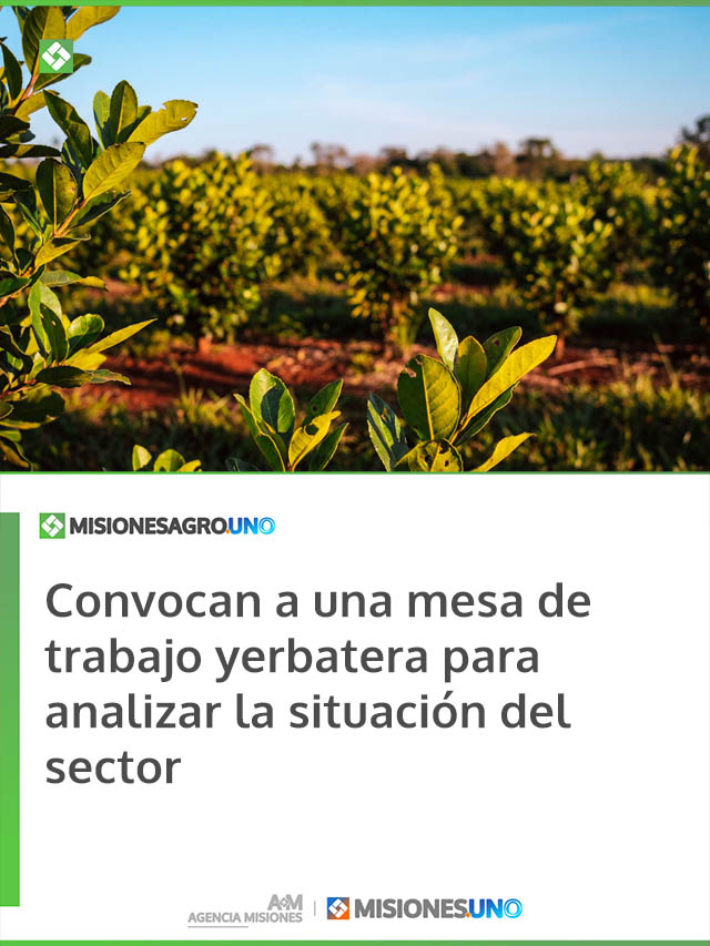 Convocan a una mesa de trabajo yerbatera para analizar la situación del sector