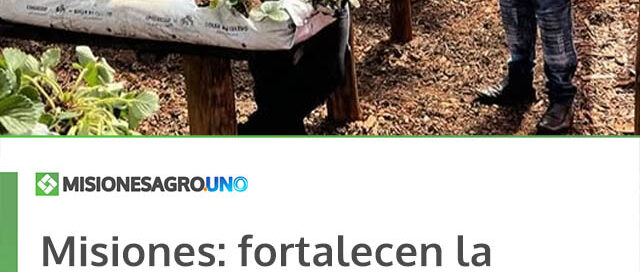 Misiones: fortalecen la producción hortícola con capacitaciones en plantineras municipales