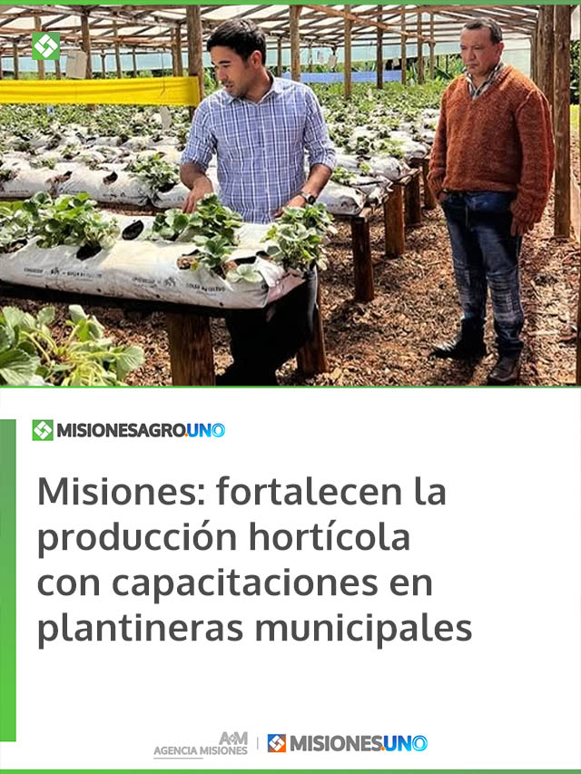 Misiones: fortalecen la producción hortícola con capacitaciones en plantineras municipales