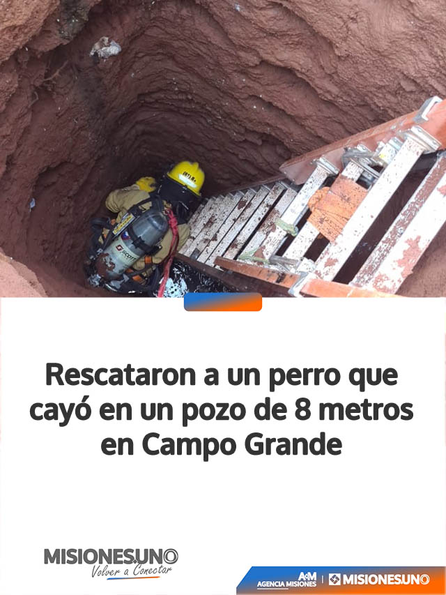 Rescataron a un perro que cayó en un pozo de 8 metros en Campo Grande