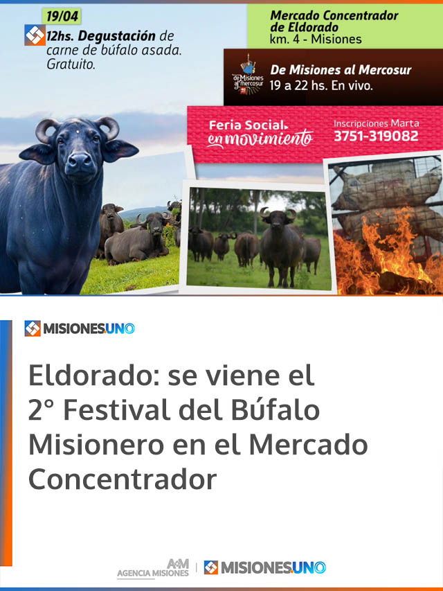 Eldorado: se viene el 2° Festival del Búfalo Misionero en el Mercado Concentrador