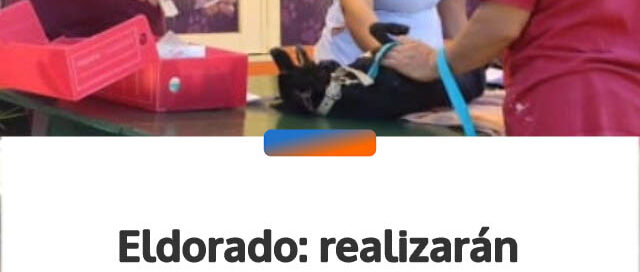 Eldorado: realizarán operativos sanitarios y de atención veterinaria en distintos barrios