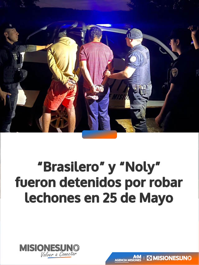 “Brasilero” y “Noly” fueron detenidos por robar lechones en 25 de Mayo